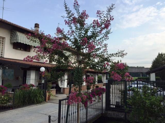 Hotel Locanda Da Carla 비제바노 외부 사진